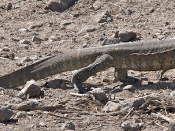 Western_Corridor2009-12